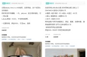 梦见被抓闲鱼：LABUBU搜索量环比上涨1000%，供不应求下现租赁新形式