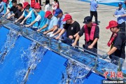 梦见被抓2025年全国水生生物同步增殖放流活动在福建举行