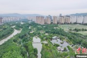 梦见被抓西宁市举办六五环境日主题宣传活动