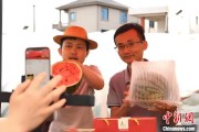 梦见被抓（乡村行·看振兴）江西安福“小西瓜”撬动乡村共富“大支点”