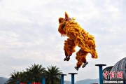 梦见被抓（文化中国行）壮乡狮舞闯南洋：脚踏“云桩” 饮誉海内外