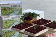 梦见被抓高速赋能产业升级：一条“杨梅路”的致富密码